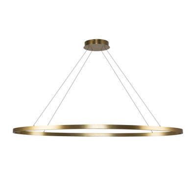 Ovale 1 - Light LED Unique/Statement Pendant