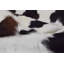 Tapis brun en cuir de vache Newhall