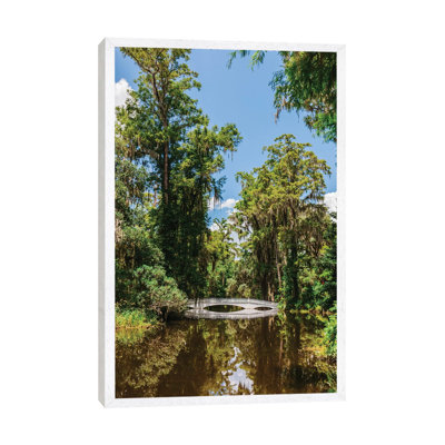 Charleston's Magnolia Plantation V by Bethany Young - Print on Canvas