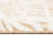 Saldanha Floral Indoor / Outdoor Rug-28485276