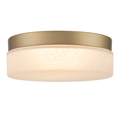 Modern 5Cct Led Flush Mount Ceiling Light