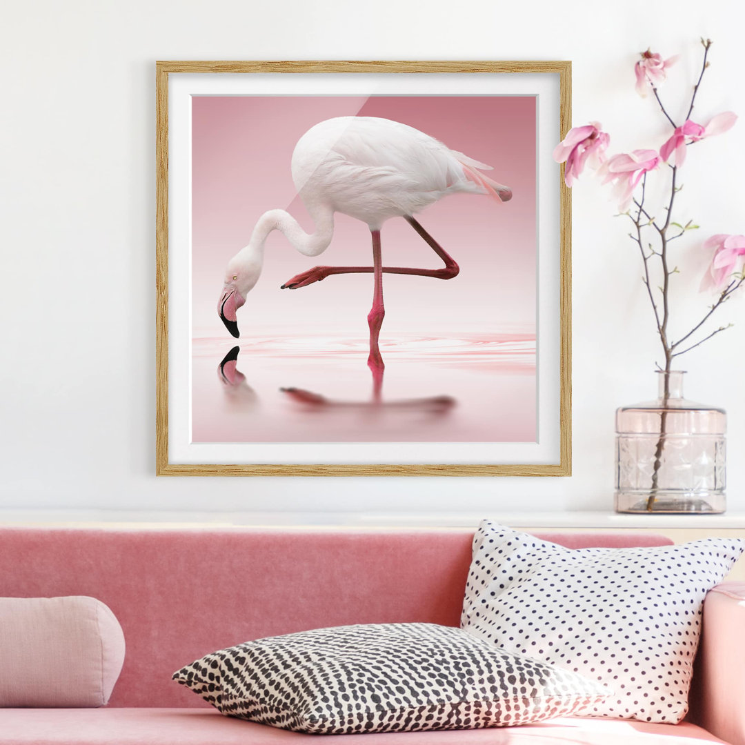 Gerahmtes Poster Flamingo Dance