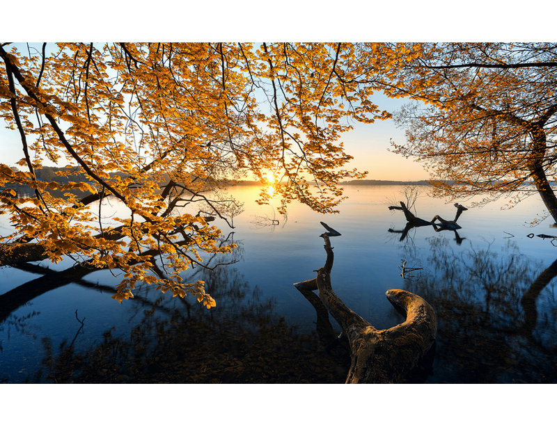 1 Piece Wrapped Canvas Wall Art