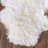 Wool Indoor Rug