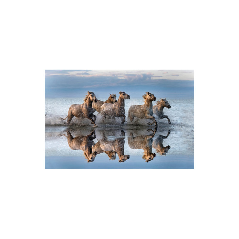 Wrapped Canvas Print, 50.8 cm H x 76.2 cm W