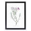 Purple Phlox Flowers - Framed Print-55616177-55616176