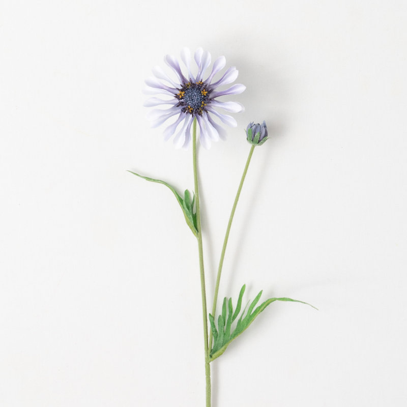 Daisy Bloom Stems, Blue
