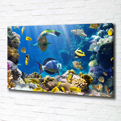 Coral Reef - Wrapped Canvas Print