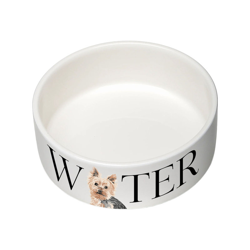 Vivid Squid Wholesale Ceramic / Porcelain Decorative Bowl 1