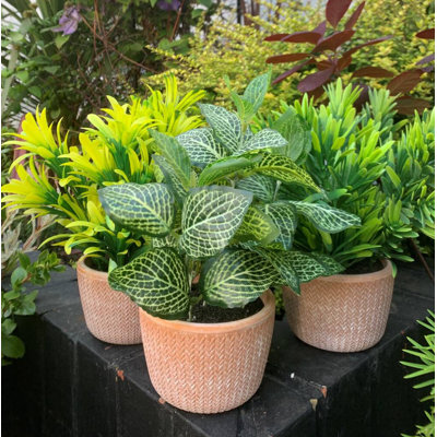 25.4cm Faux Plant in Ceramic Planter