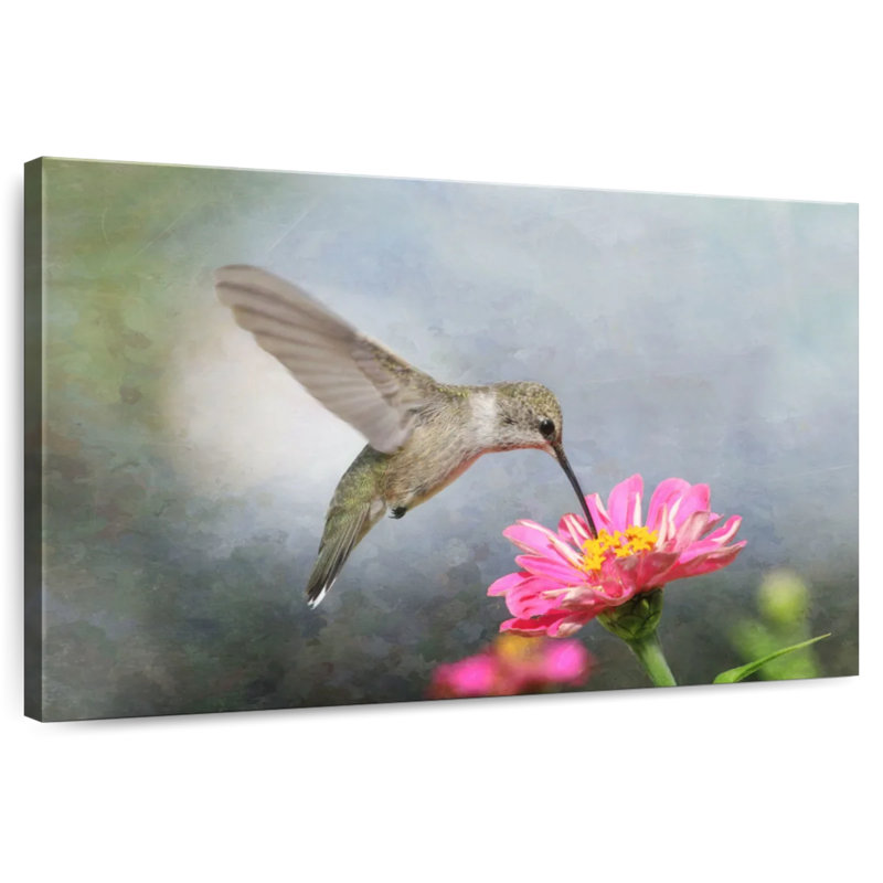 Colibri à menton noir Brampt, H 34 po x l 51 po
