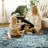 Fillender Washable Soft Vintage Rug Fashion Floral Rug For Living Room Dorm Decor-105705495