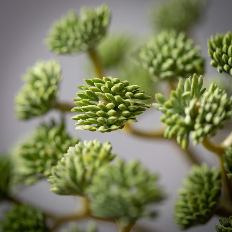 10'' Faux Succulent Plant