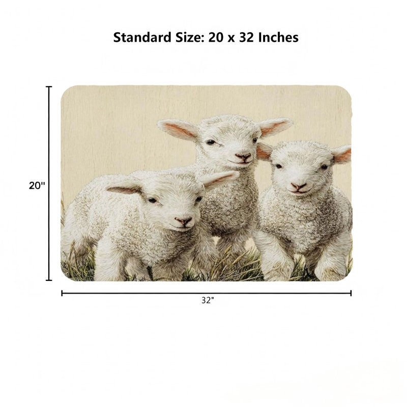 Tapis d'entrée pour salle de bain 32 po x 20 po IN Fluffy