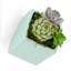Pot de fleurs mural cube Eakin-27330503