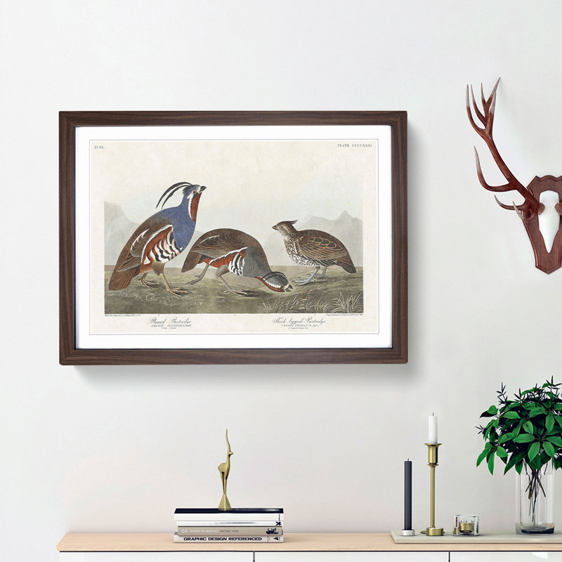 Partridge Birds by John Audubon - Picture Frame Painting Print on MDF, Walnut Framed, 27cm H x 36cm W x 2cm D