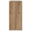 Shoe Cabinet-307641258
