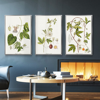 «Passion Flower Trio I», ensemble de 3 toiles encadrées