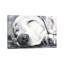 Happy Dreams by George Dyachenko - Wrapped Canvas Print-1777628308