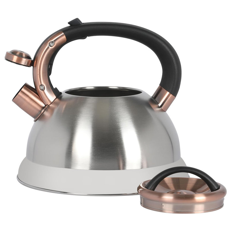 Mr. Coffee 2.2 Quart Stainless Steel Whistling Tea Kettle in Silver