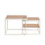 Ensemble de 2 tables gigognes avec rangement Frame-1571892354