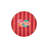 Vertical Striped Red Rose Patterned Multicolored Woven Floor Carpet-1086598561