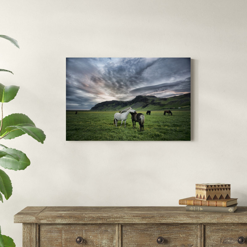 Chevaux Islandais, H 20 po x l 30 po x P 1,25 po