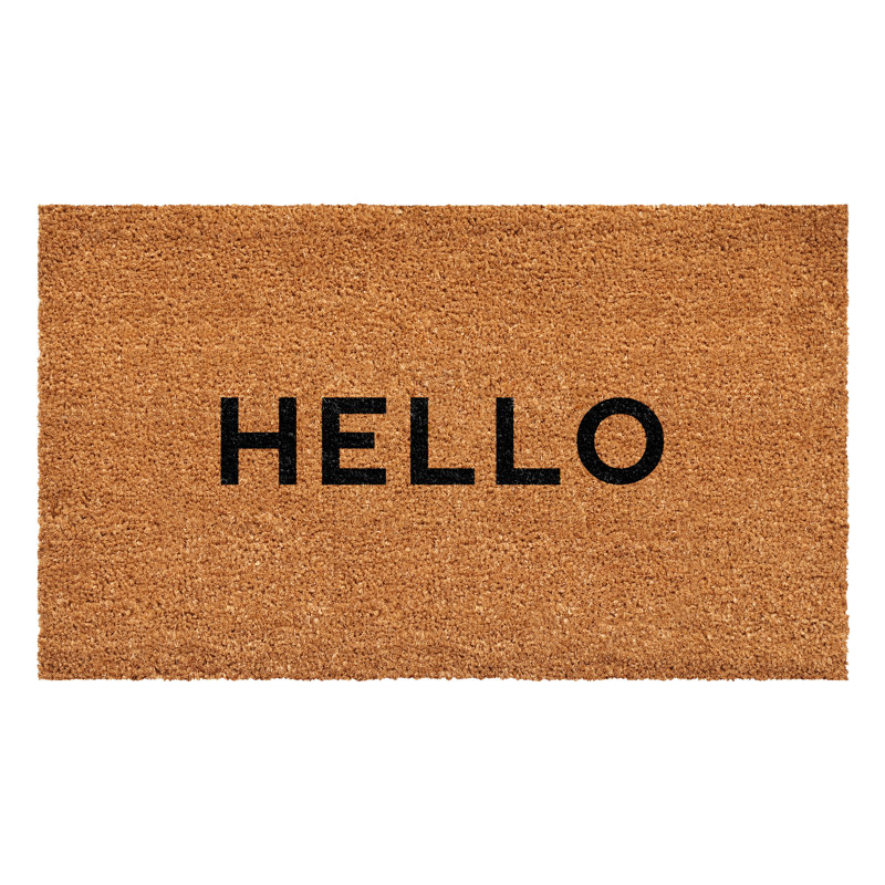 Tapis d'entrée antidérapant Emelee, L 24 po x L 48 po
