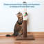 Grattoir pour chat Petmaker