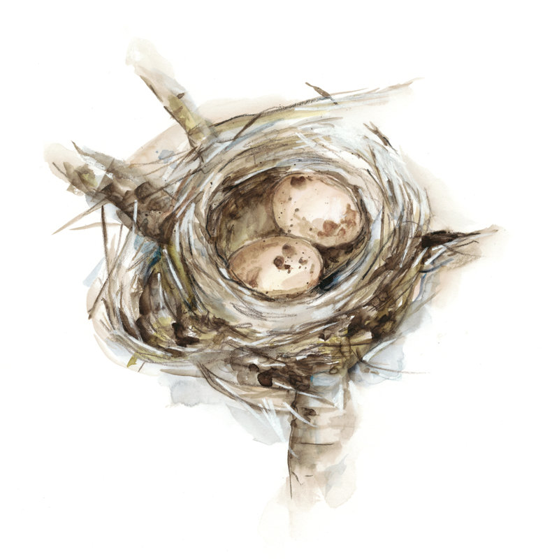 Étude de nid d'oiseau I, H 30 po x l 30 po x P 1,25 po