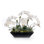 Real Touch White Orchid Flower Arrangement in Black Planter