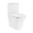 Eclair One-Piece Square Toilet Dual-Flush 0.8/1.28 gpf