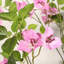 Bougainvillée artificiel