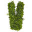 Plante buis artificielle 12"