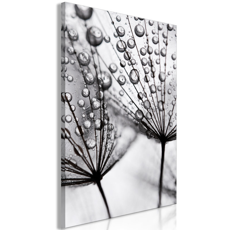 No Frame Print on Canvas, 40cm H x 60cm W