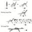 Chaises longues ergonomiques avec dossier réglable et assise en vinyle-598982871