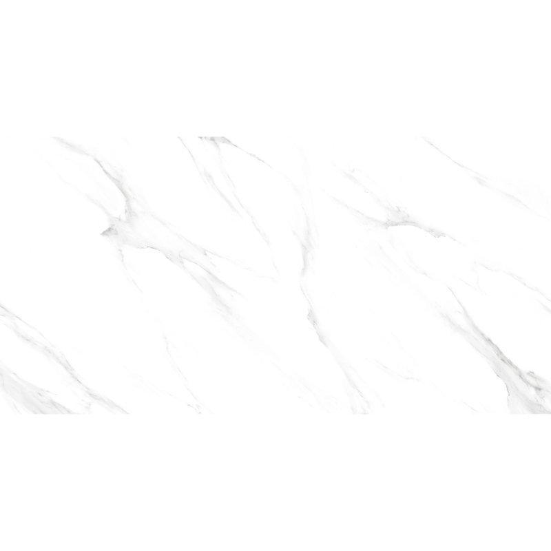 Monarch 24" x 48" Matte Porcelain Wall & Floor Tile, Calacatta