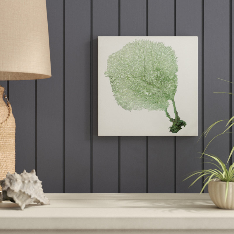 Sea Fan II by Vision Studio - Wrapped Canvas Painting, 30cm H x 30cm W