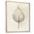 Natural Floater Framed