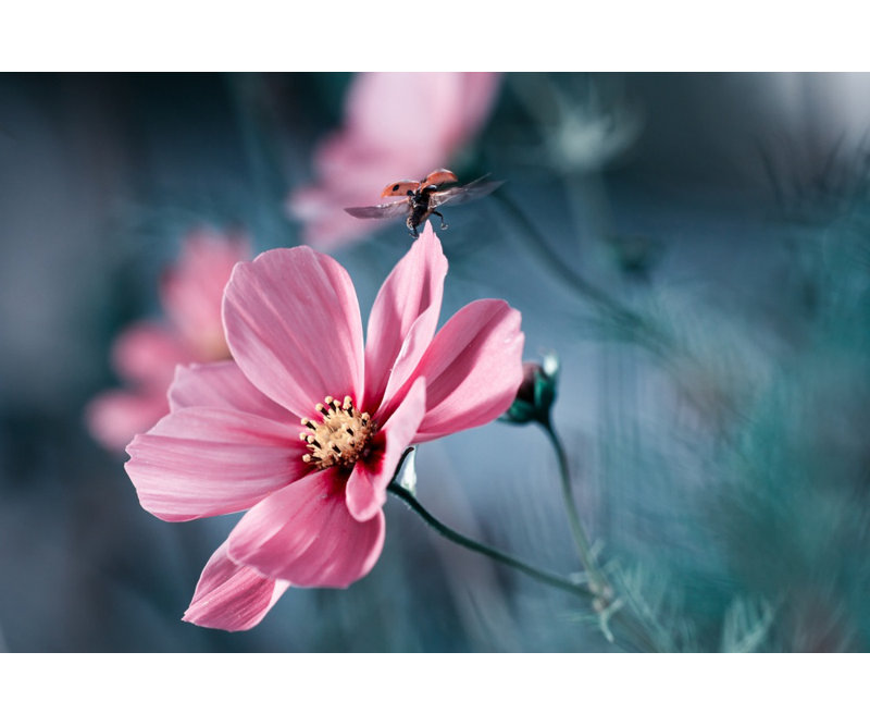 Wrapped Canvas Print, 91.44 cm H x 60.96 cm W
