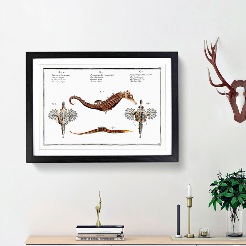 Seahorse & Sea Dragon by M.E. Bloch - Picture Frame Painting Print, 36cm H x 48cm W x 2cm D, Black Framed