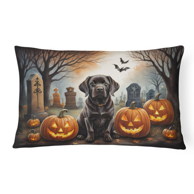  Coussin décoratif intérieur / extérieur en polyester Autre / Sans motif