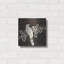 «Song Bird 2» par Incado-1310235771