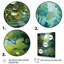 Toile Bold Forest Emerald IV - Paysage et nature, art mural-588910888-588910891