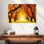 Alvord Autumn Forest Trail-111830776