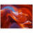" Lower Antelope Canyon "-178913907