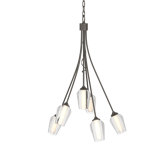 Flora 6 - Light Shaded Geometric Chandelier