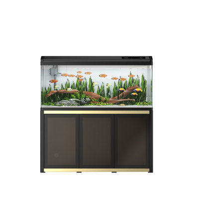 Aquarium 53,15 po en verre moyen avec système de filtration