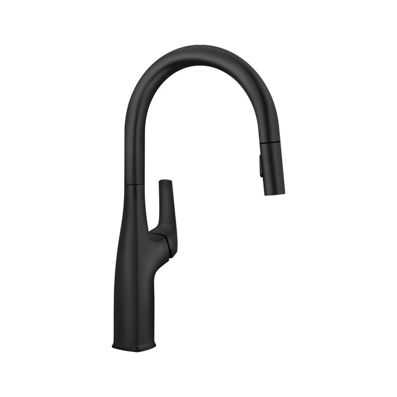 Rivana High-Arc Pull-Down Dual-Spray Kitchen Faucet, Matte Black