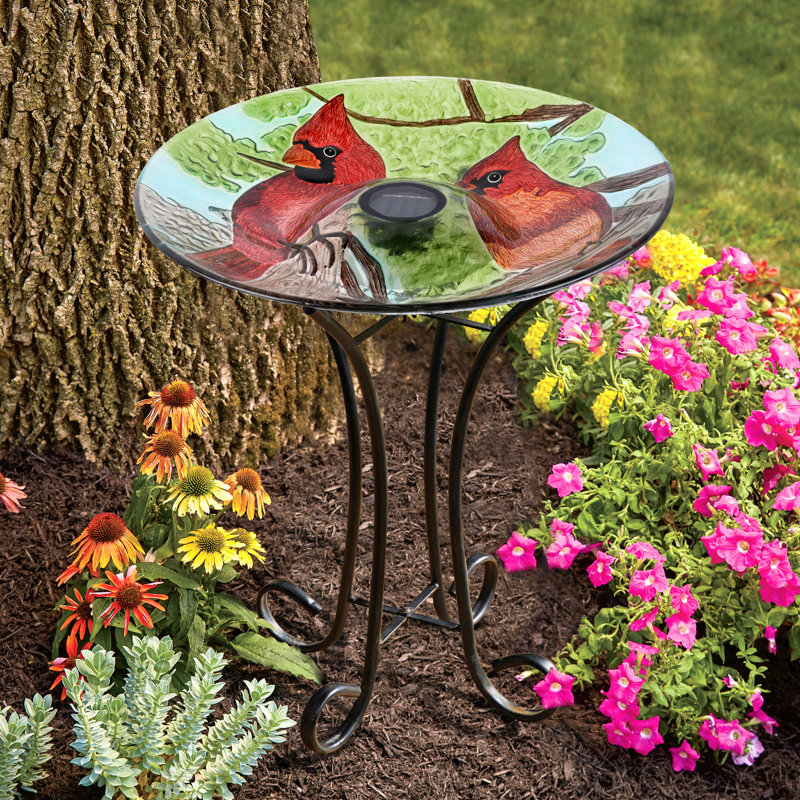 Solar LED Floral Cardinal Glass Bird Bath with Stand - Cardinal